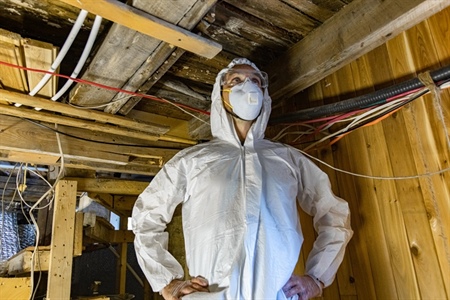 What Should You Expect from a Mold Inspection During a Real Estate Transaction?